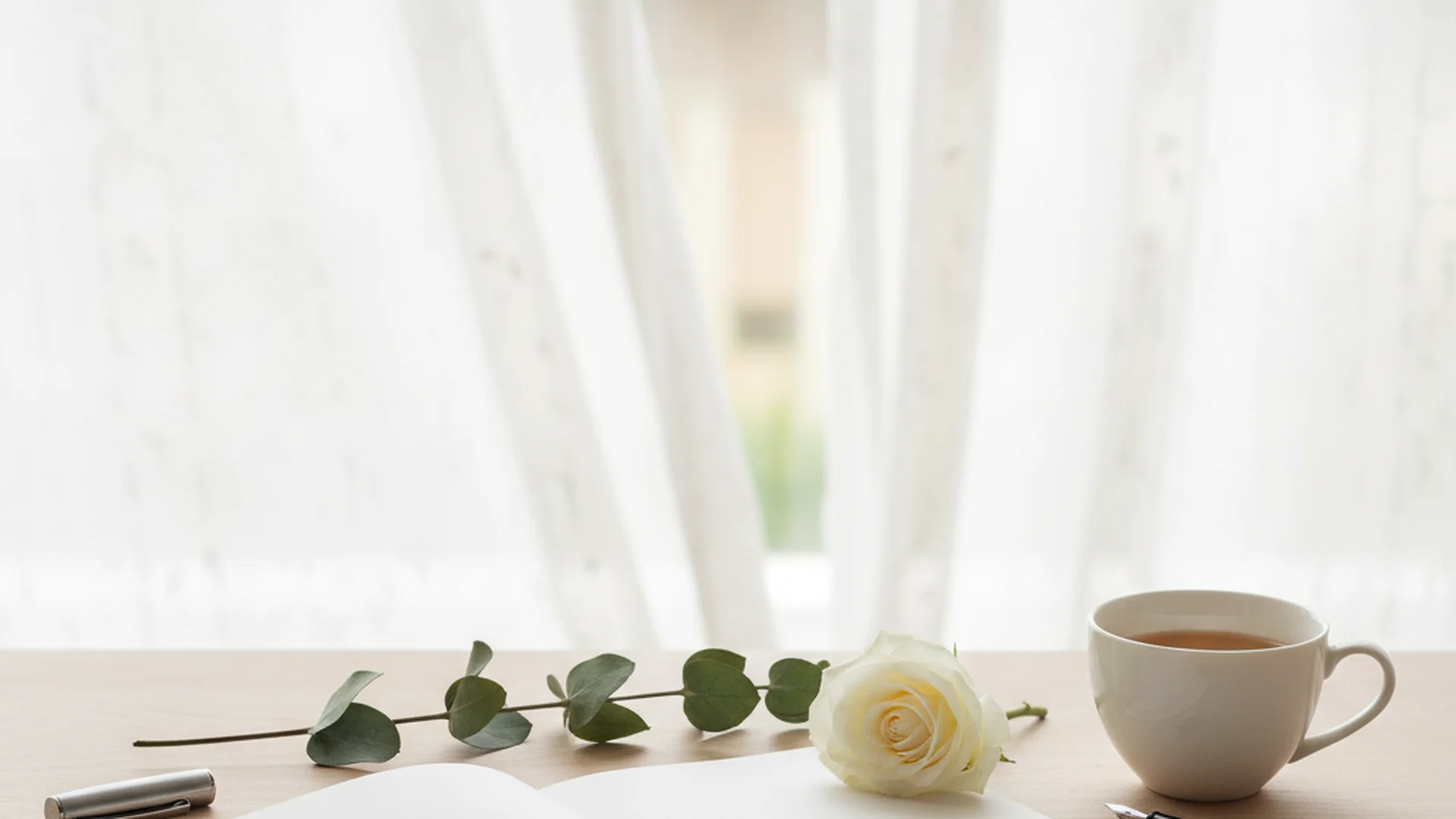 The Ultimate Civil Wedding Ceremony Script Guide for 2025-2026